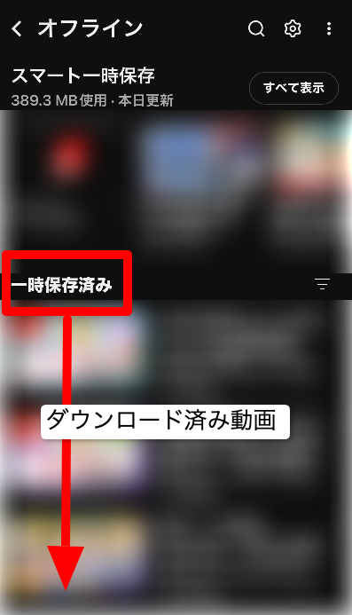ダウンロード済み動画一覧