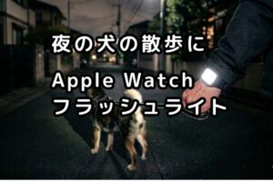 夜の犬の散歩にApple Watchフラッシュライトのアイキャッチ